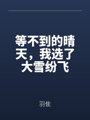等不到的晴天，我选了大雪纷飞