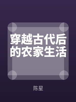 陆方海杜文秀的小说叫什么名字