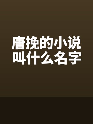 唐挽的小说叫什么名字